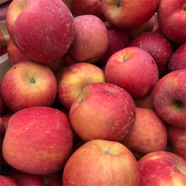 Apples Fuji Fancy - Refresh Fruits Borough Park